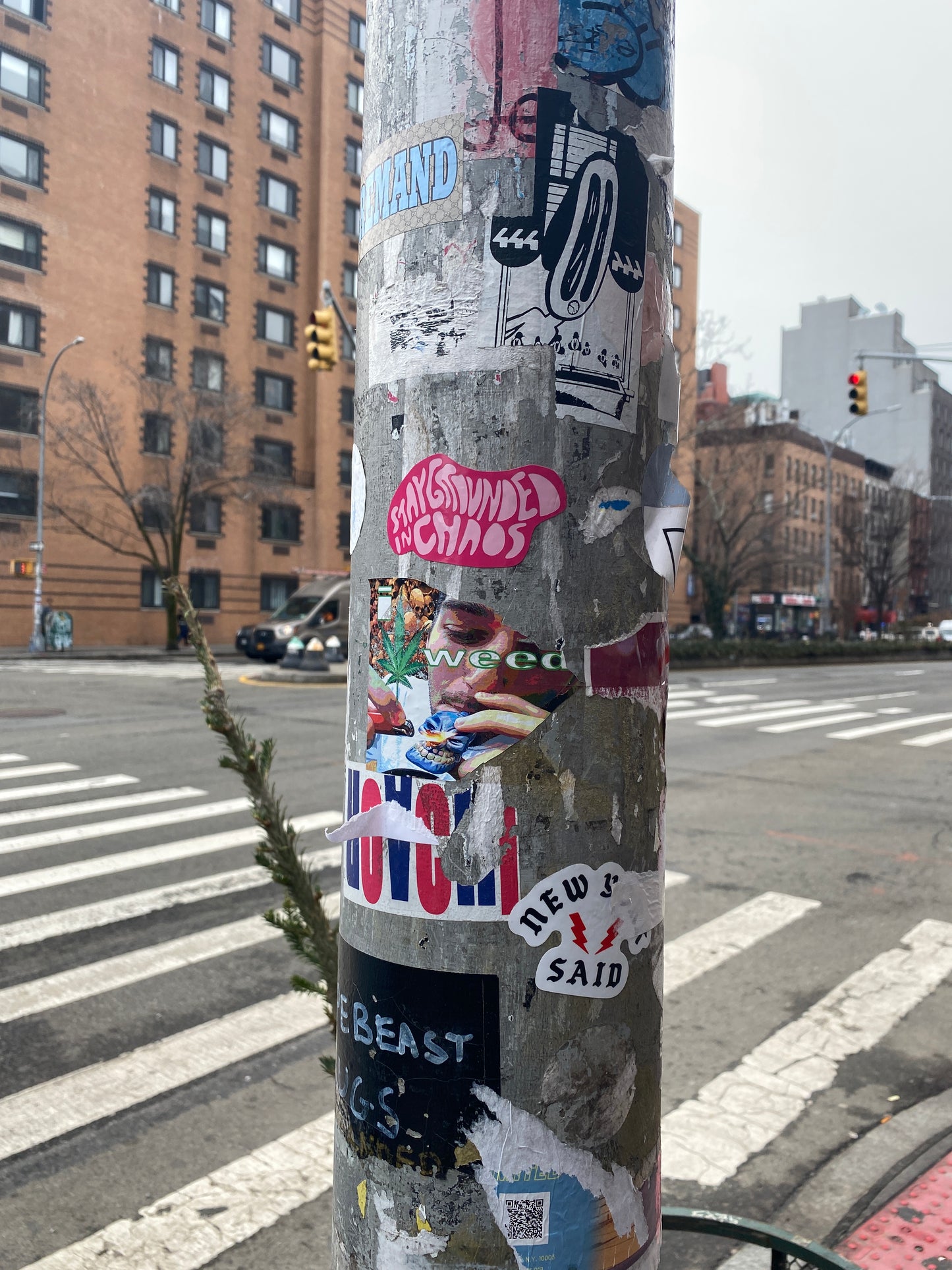 Stay Grounded in Chaos Sticker